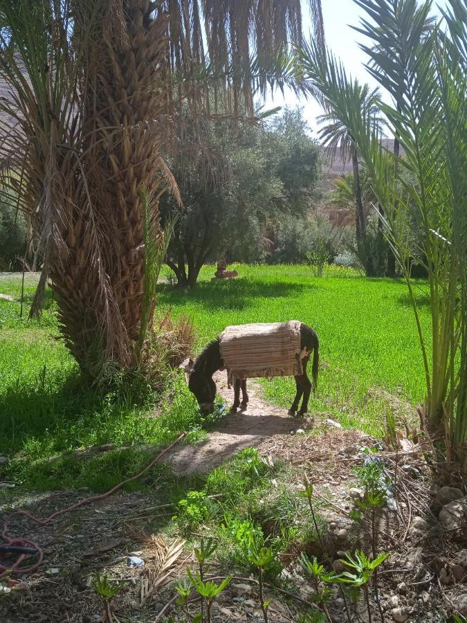 Dar Jamila Hotell Achbarou Exteriör bild